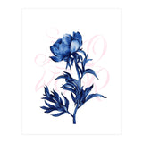 rosa blu (Print Only) thumbnail