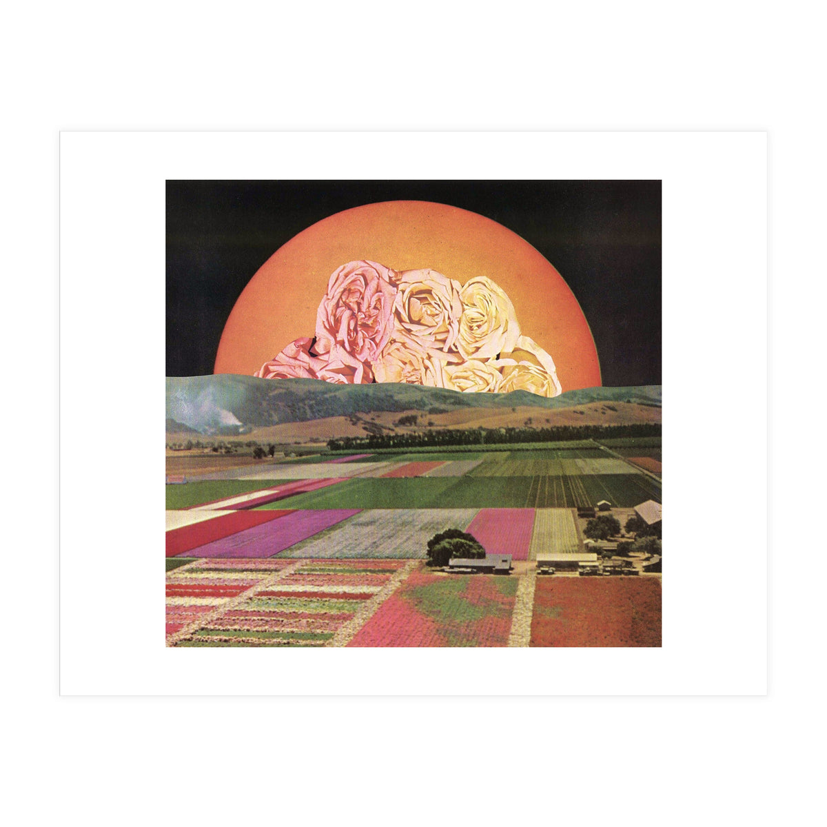 Untitled (Print Only)