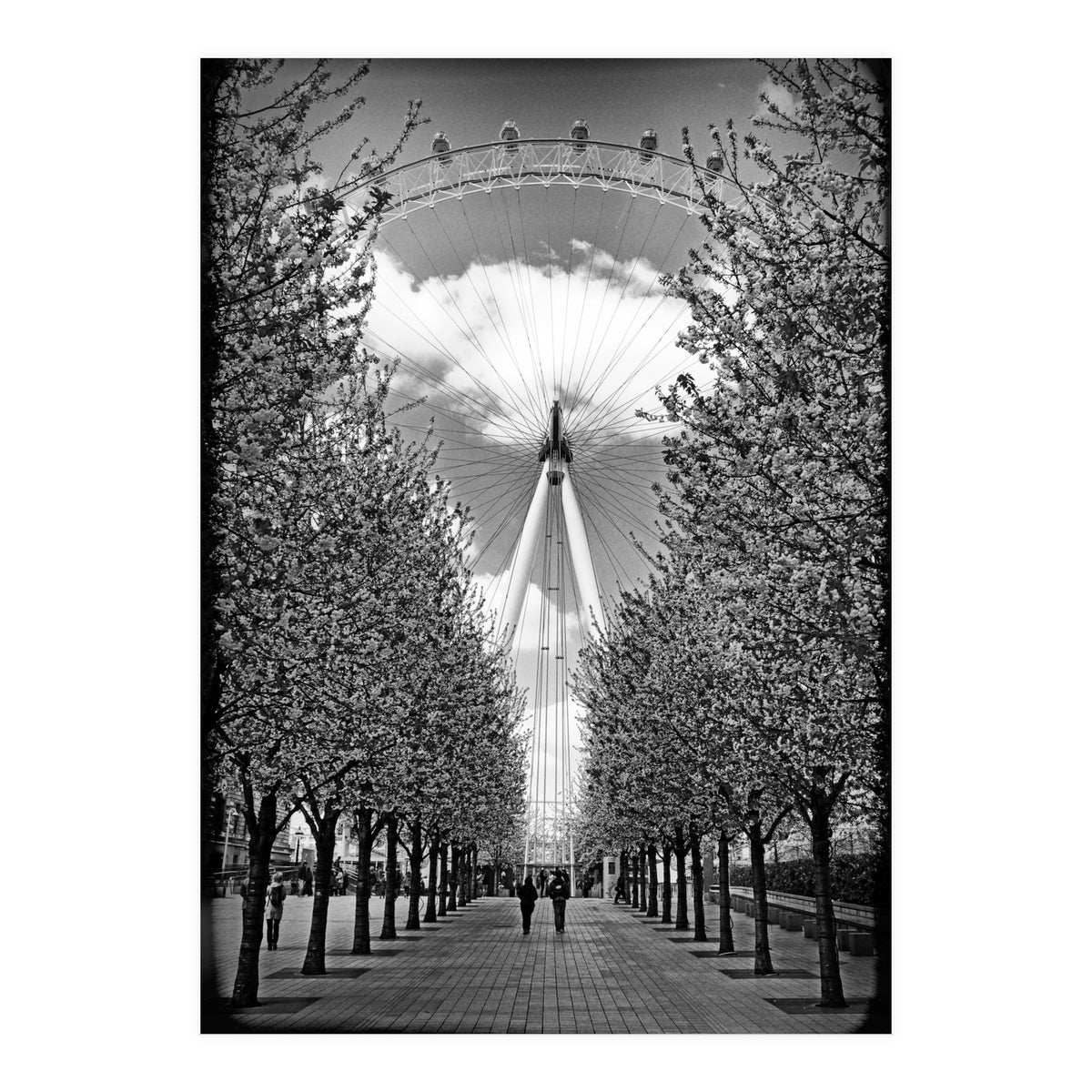 London Eye (Print Only)