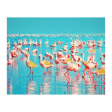 Flamboyance (Print Only) thumbnail
