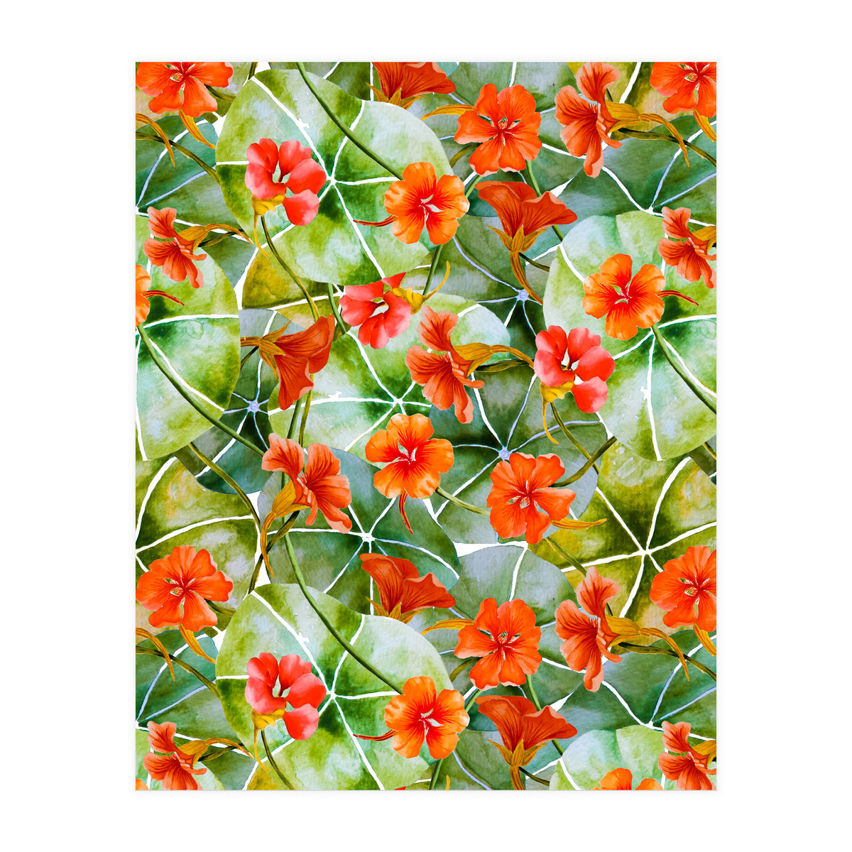 Nasturtiums watercolor 01 (Print Only)