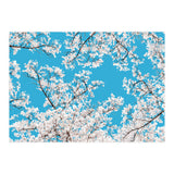 White Blossom (Print Only) thumbnail