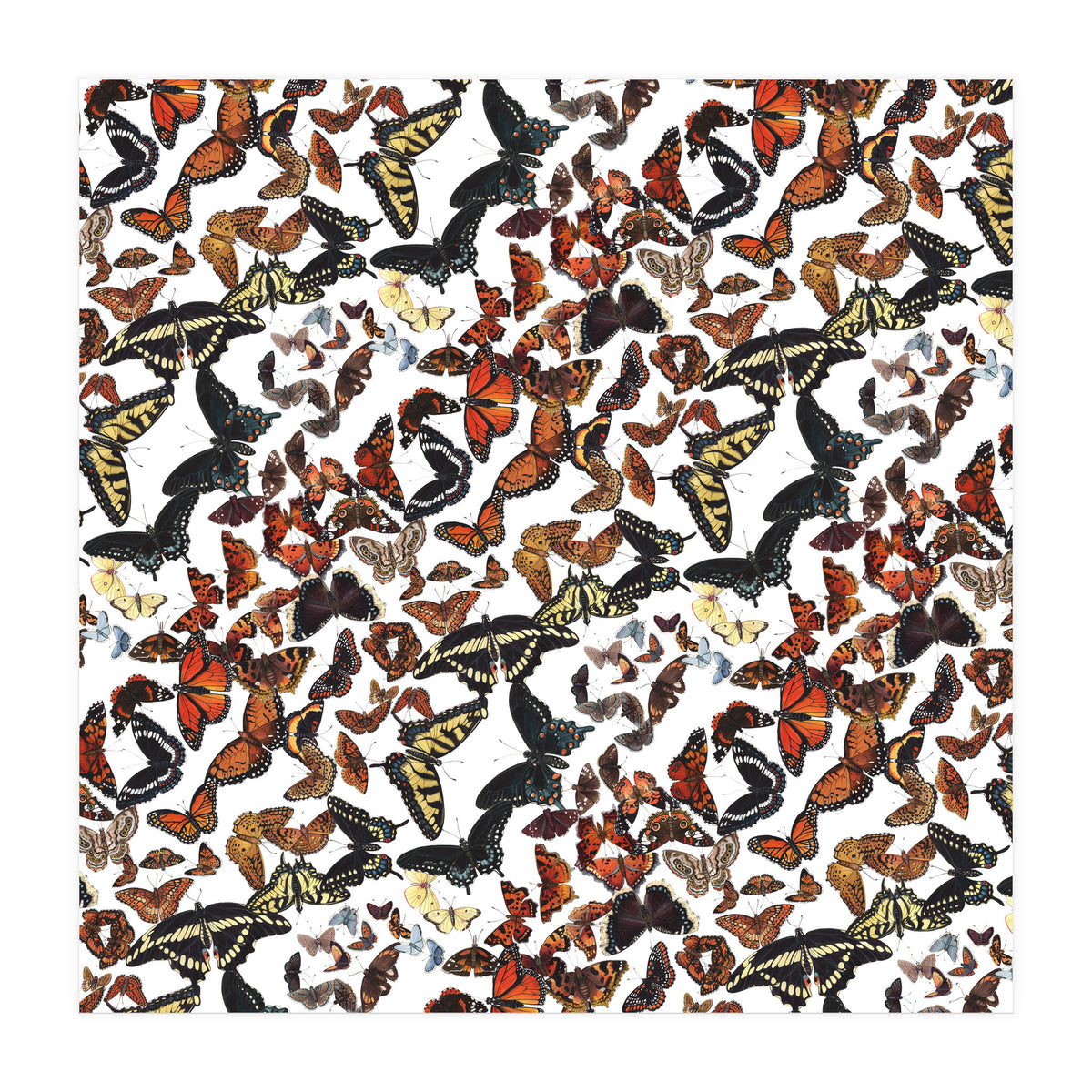 Maine Butterflies Pattern (Print Only)