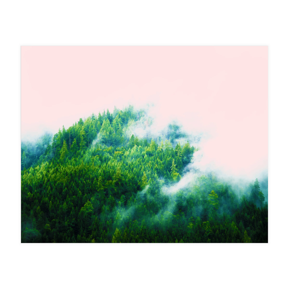 Into The Fog (Print Only)