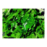 More Distinguishing Marks (Print Only) thumbnail
