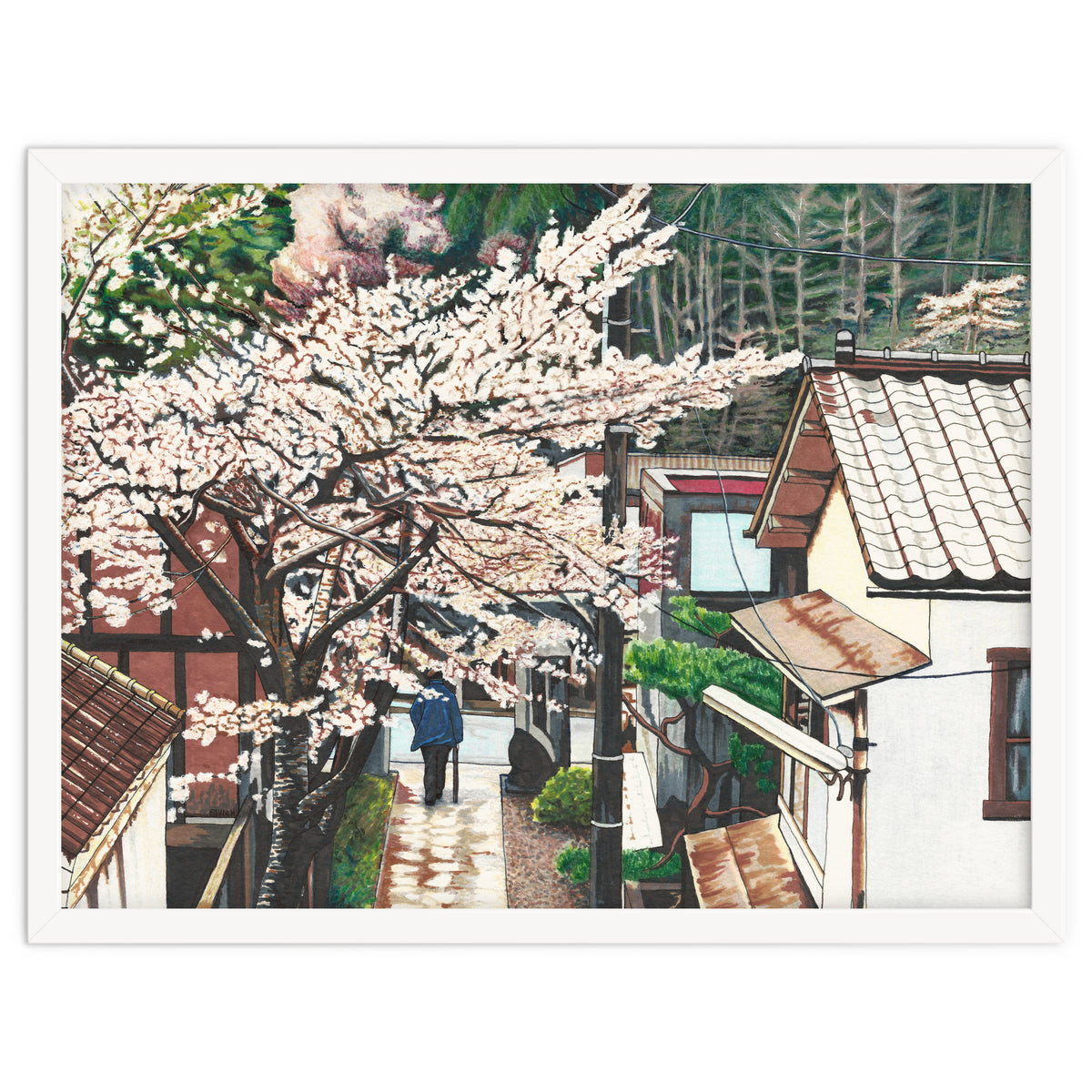 Passing by Cherry Blossoms