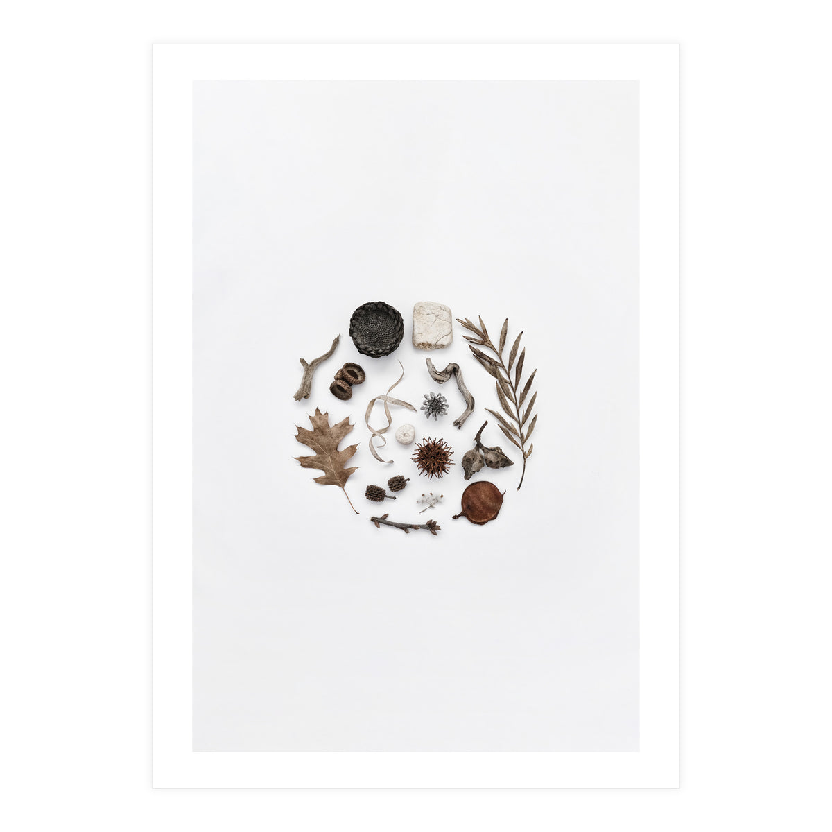 Treasures From Nature No. 2 (Print Only)