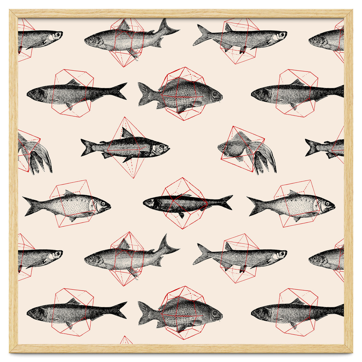 Fish In Geometrics