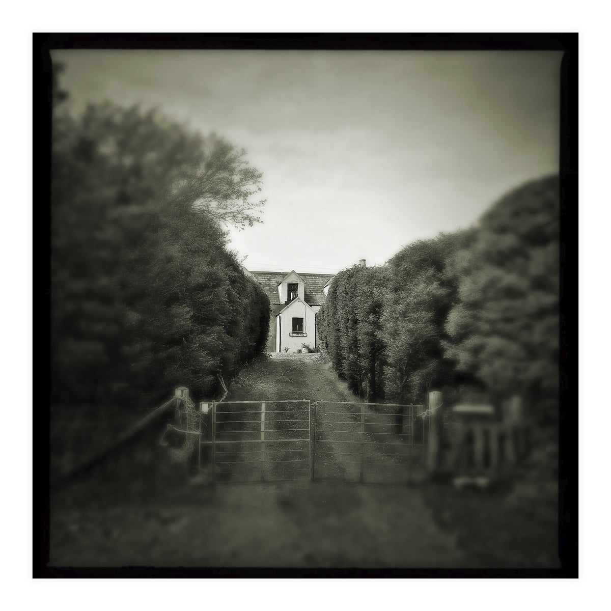 Waterstein 3 (Print Only)