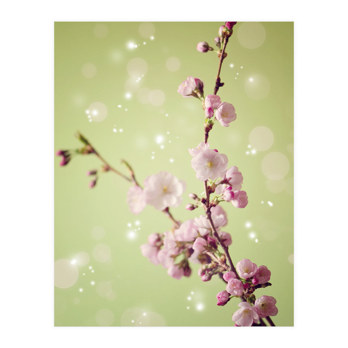 Springtime  (Print Only)