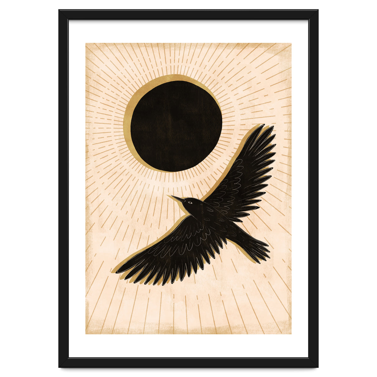 Raven And A Black Sun