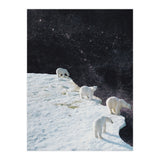 Flat Earth (Print Only) thumbnail