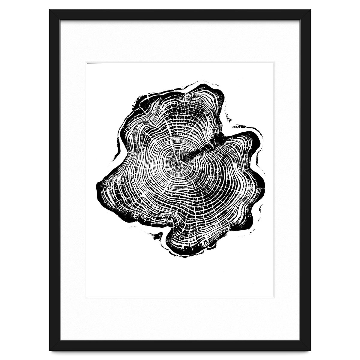 Alaskan Cypress, Tree Ring Art Print, Woodblock