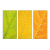 Autumn Leaves (Print Only) thumbnail