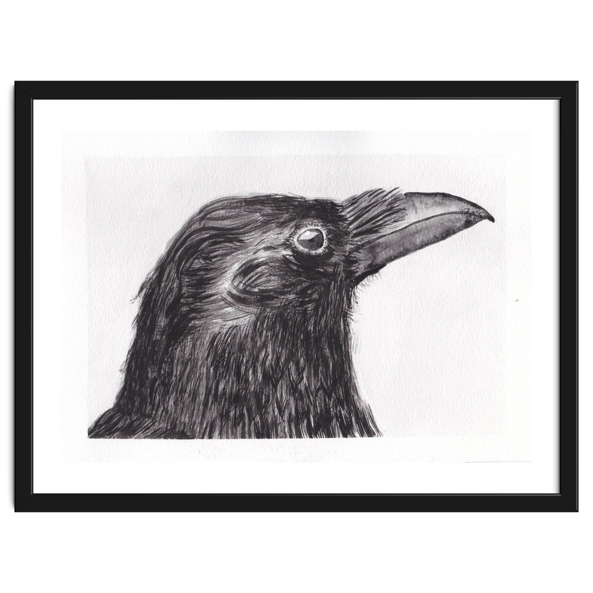 Crow