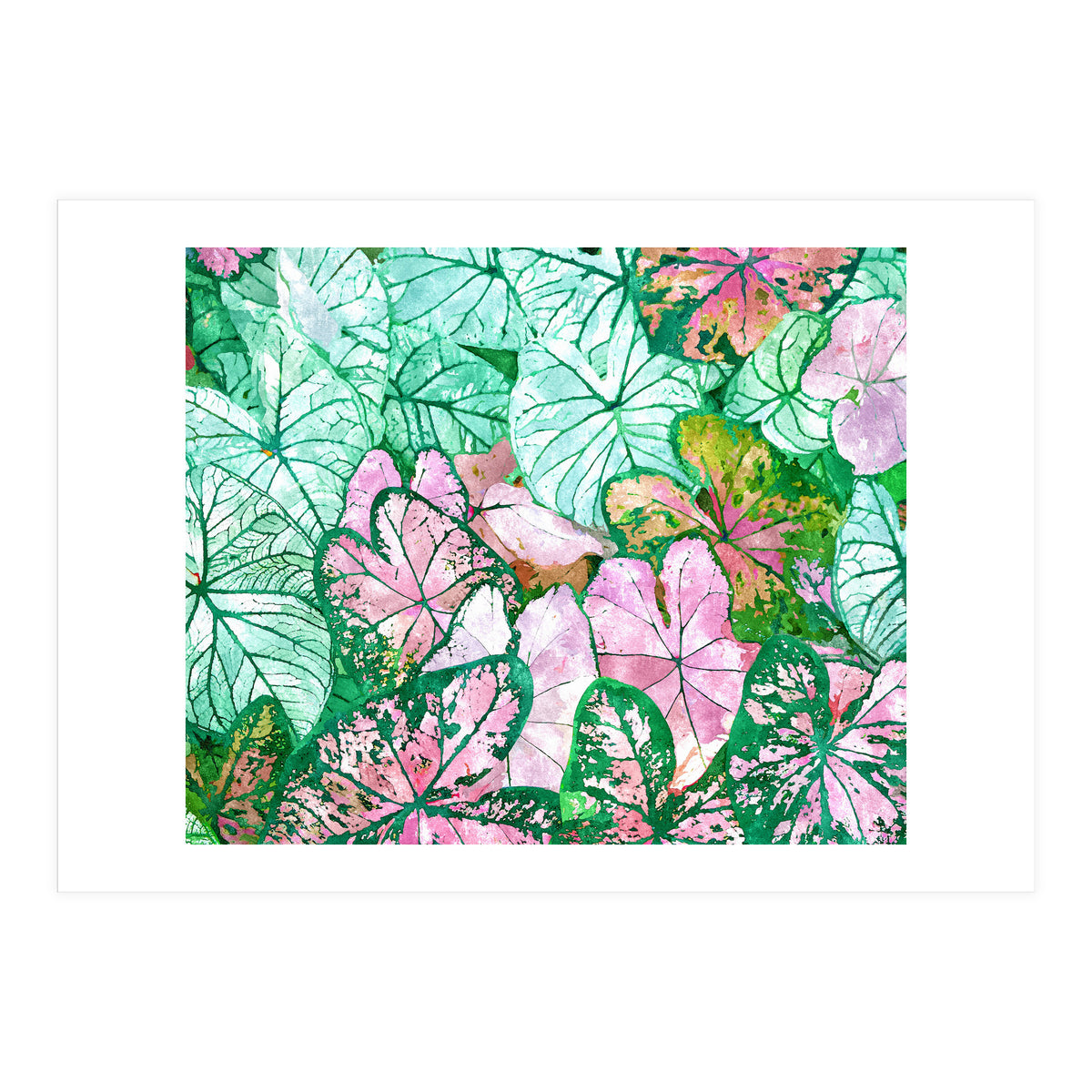 Rain & Nature (Print Only)