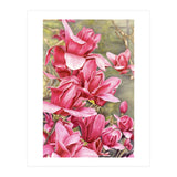 Magnolia 5 (Print Only) thumbnail