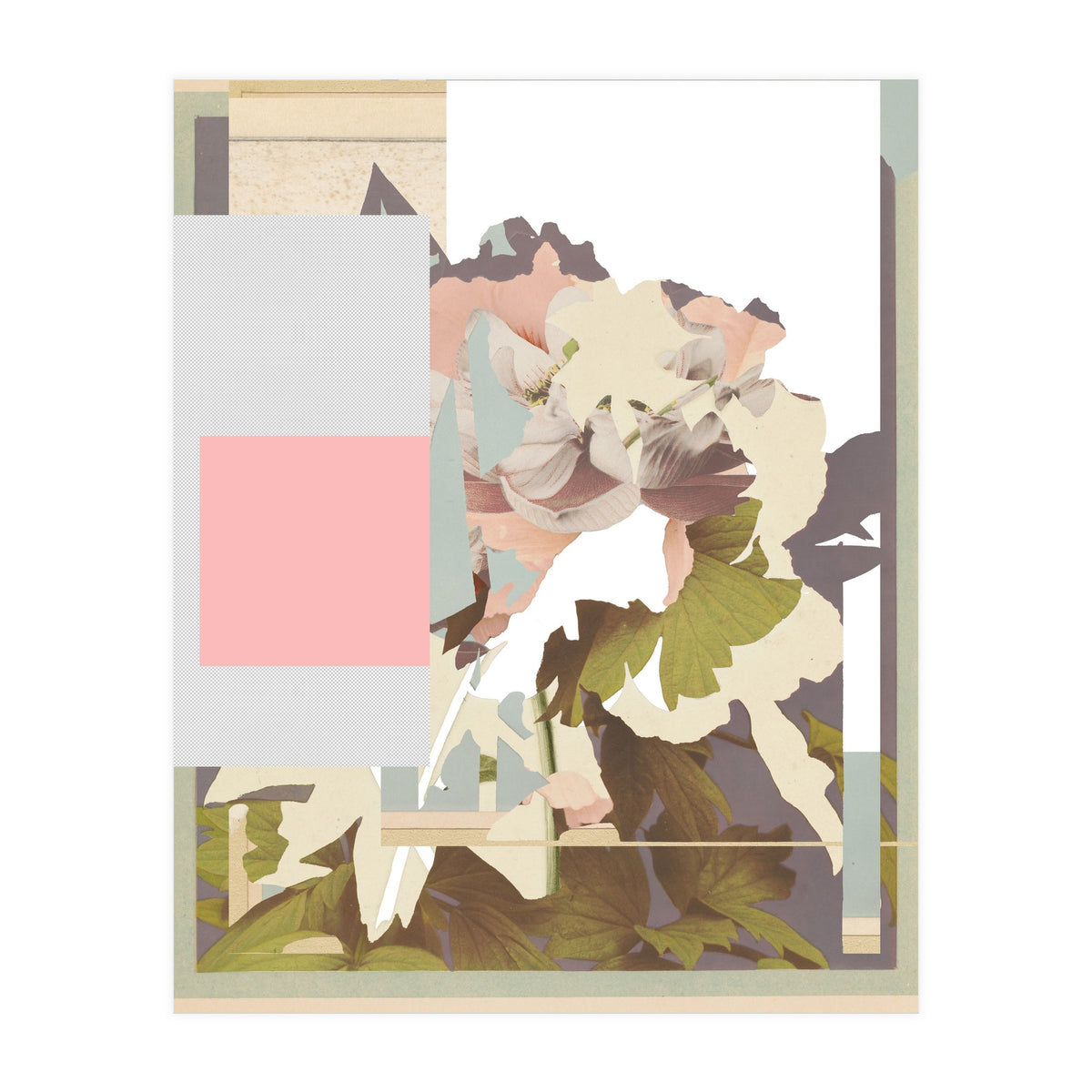 The First Plant · F (Print Only)