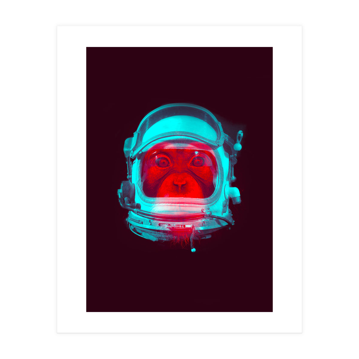 Astronaut (Print Only)