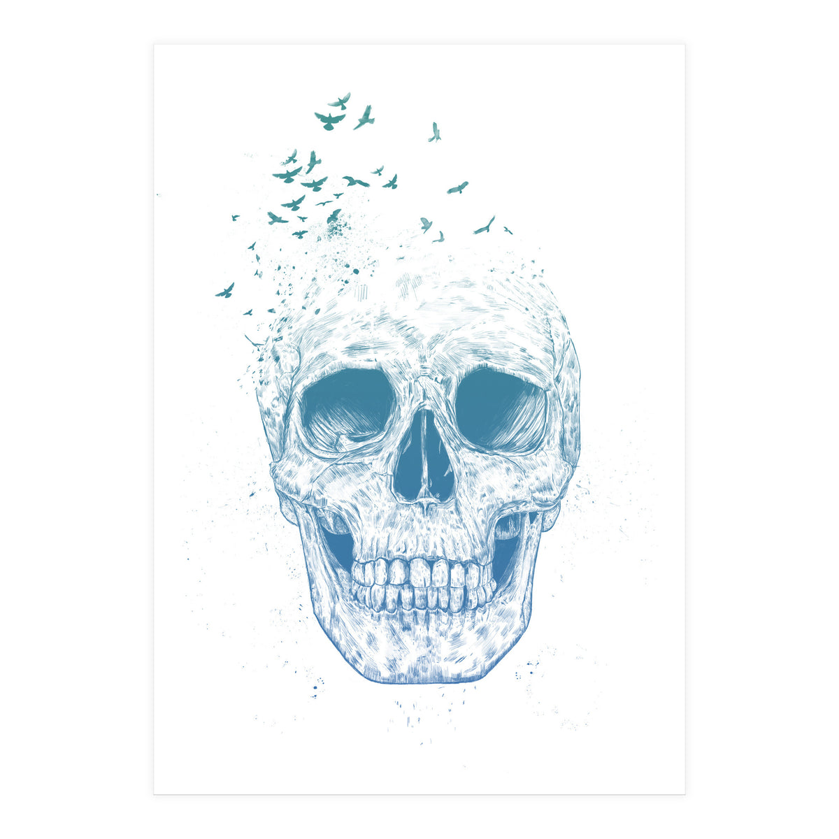 Let Them Fly Ii (Print Only)