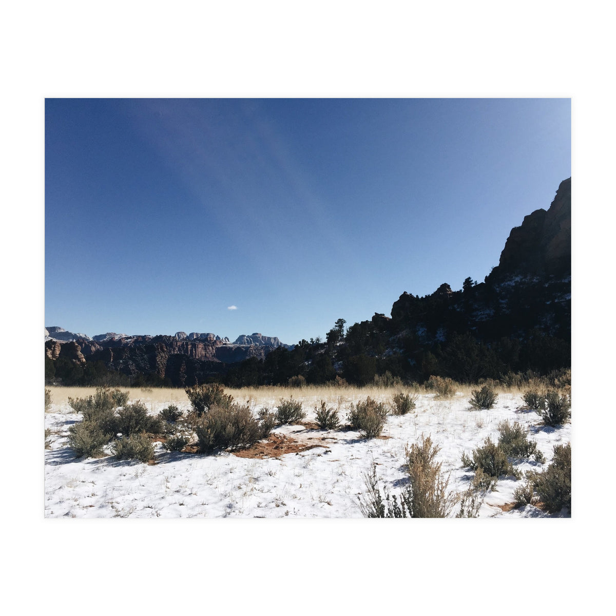 Zion National Park II (Print Only)