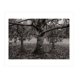 Golgotha (Print Only) thumbnail