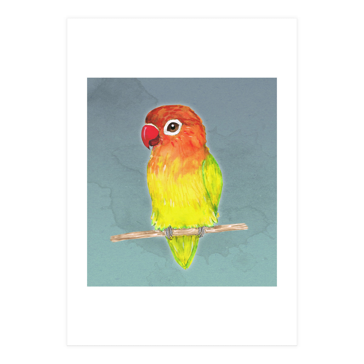 Cute yellow Fischer's lovebird (Print Only)