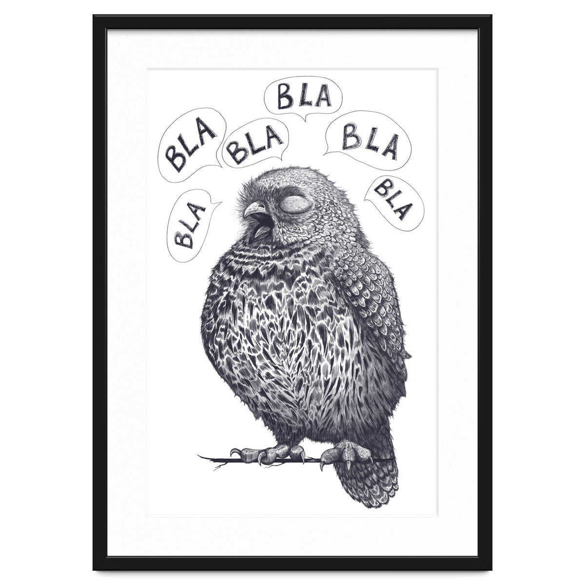 Owl Bla Bla Bla