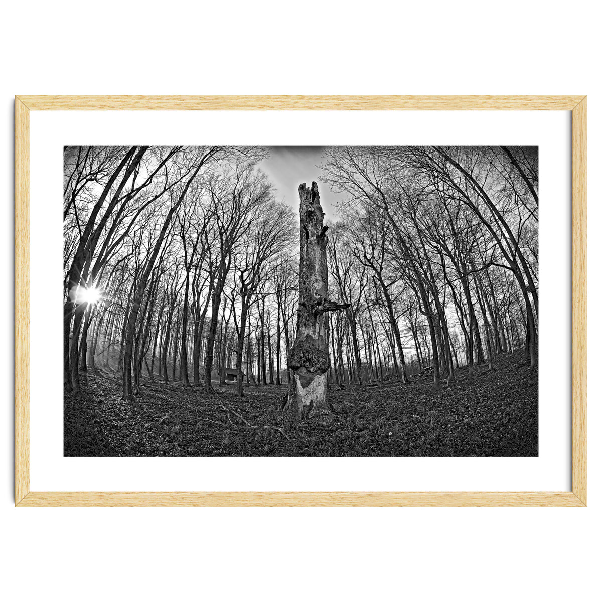 Circle of Growth and decay