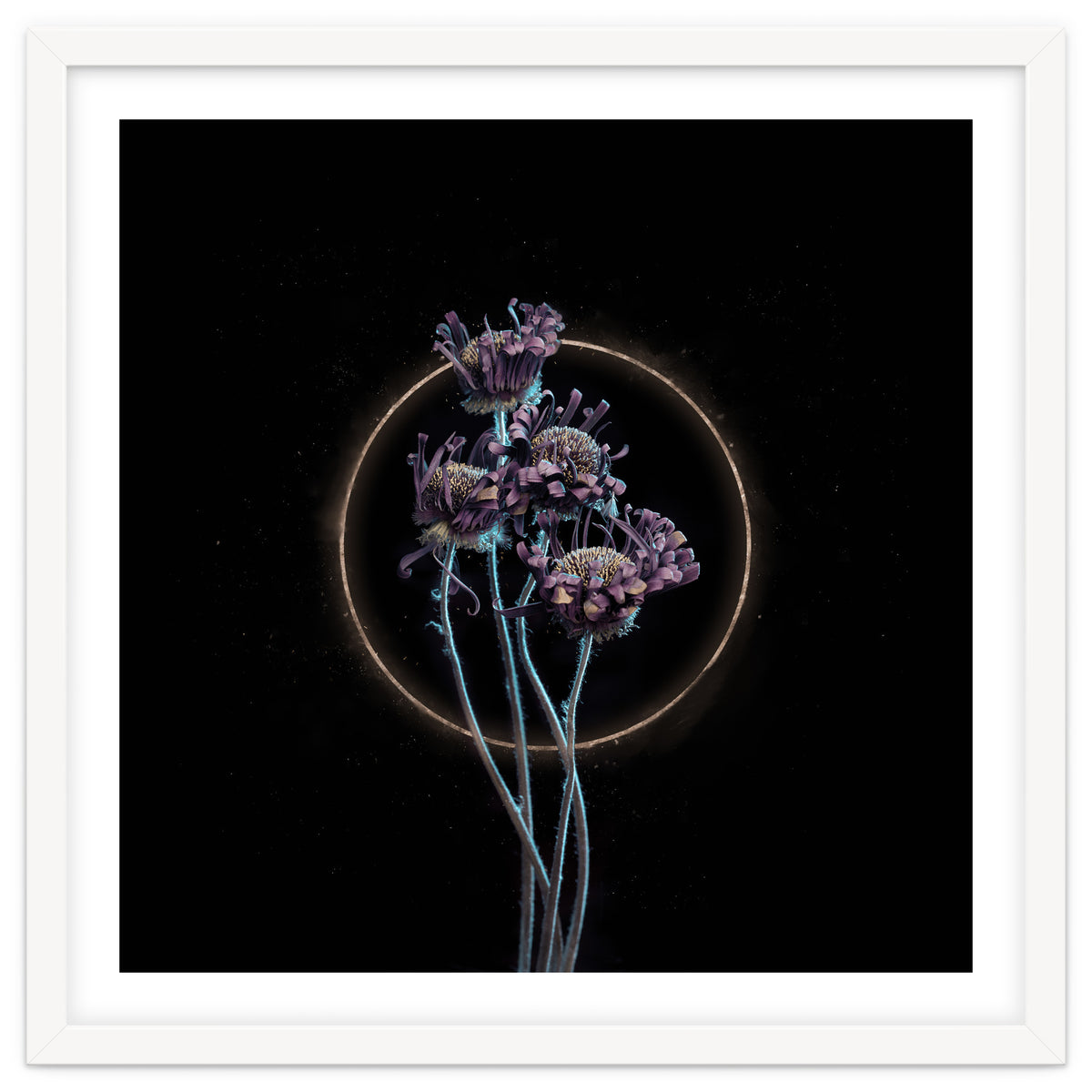 Candy-Coloured Mystery