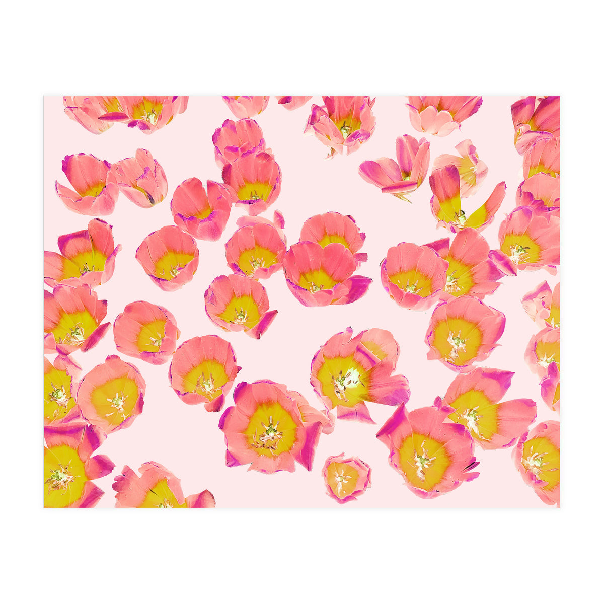 Flower Therapy (Print Only)