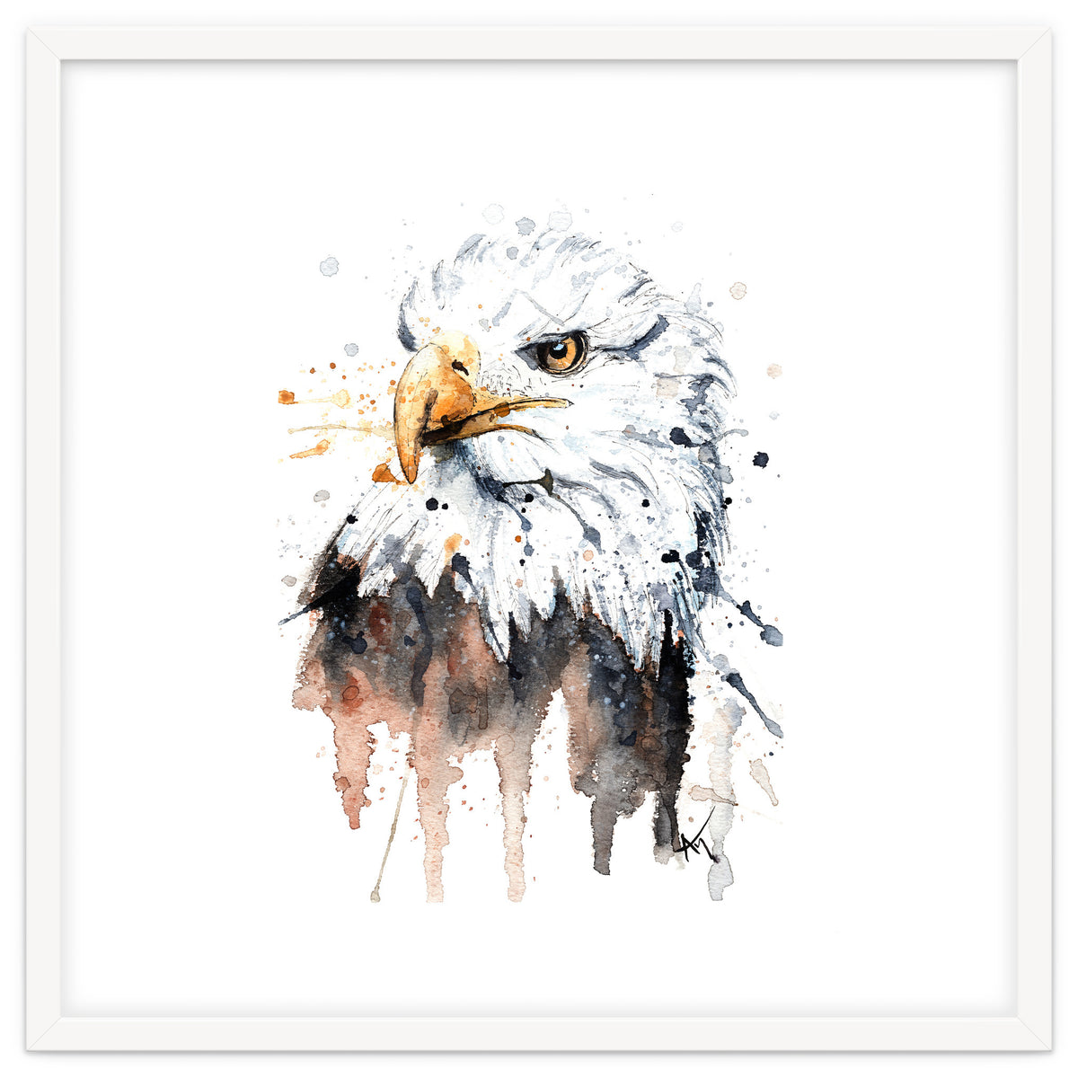 Bald Eagle - Wildlife Collection