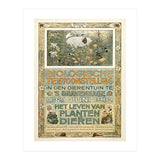 The Biological Exhibition (Print Only) thumbnail