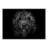 Ziggy Portrait No 1 (Print Only) thumbnail