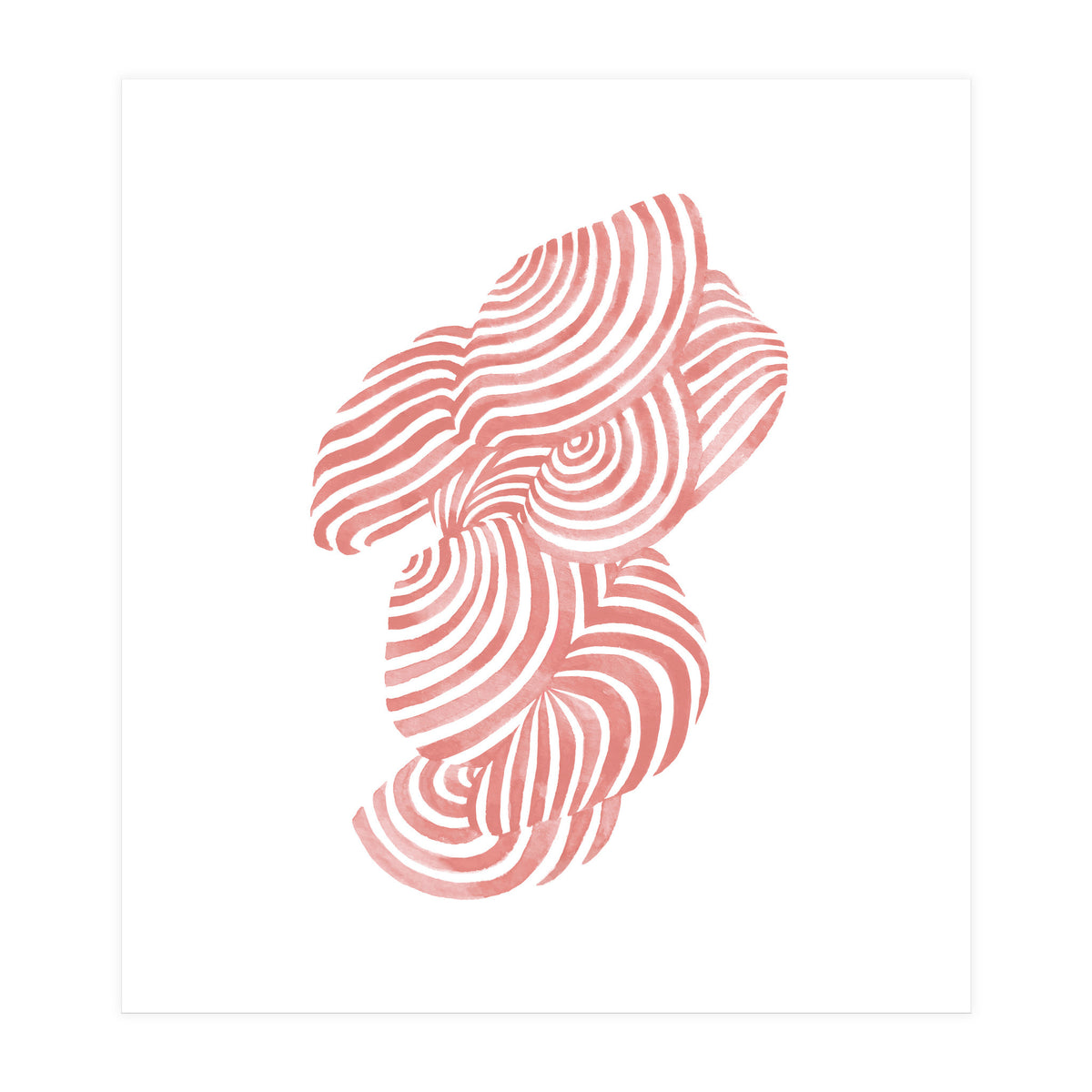 Seashells (Print Only)