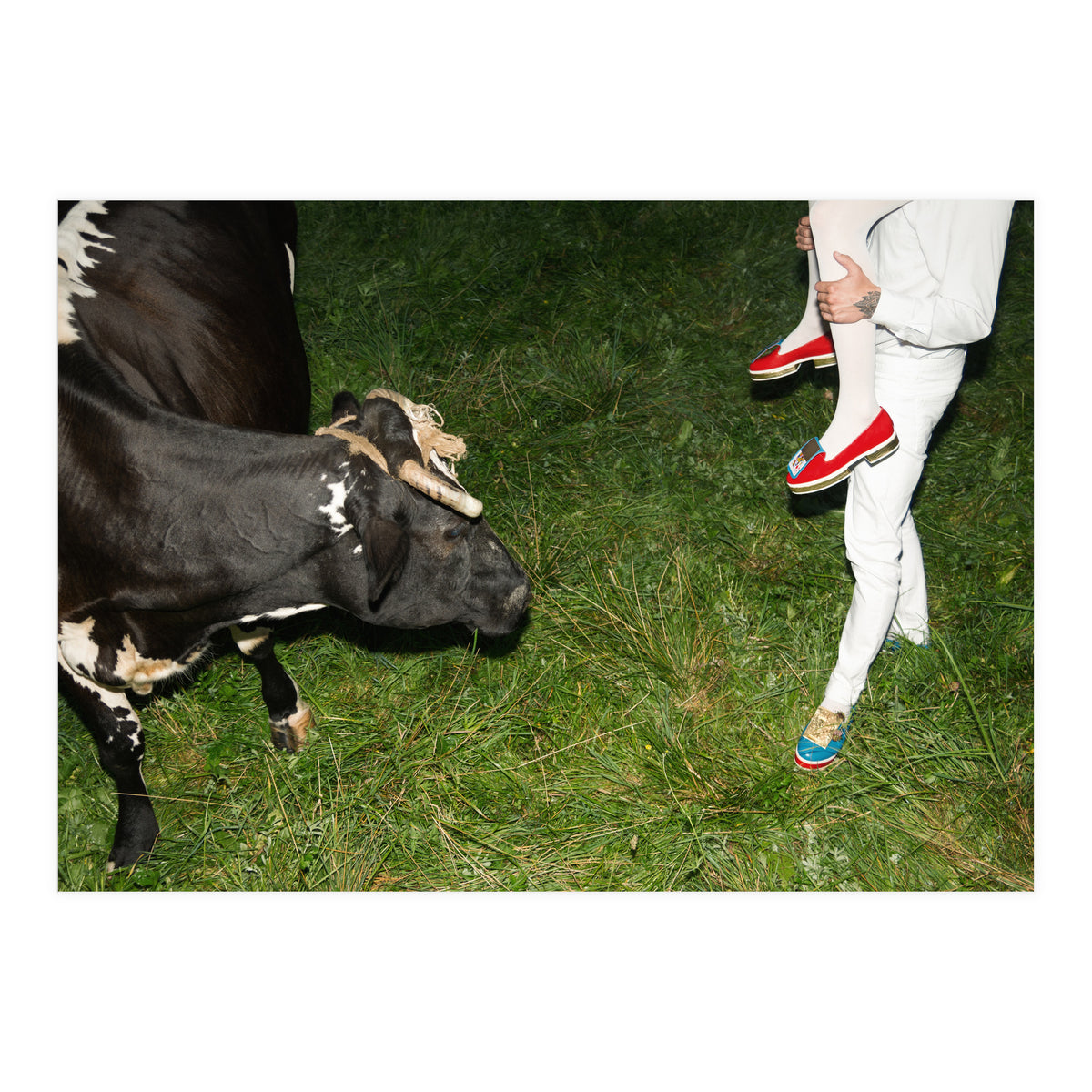 Moo means No (Print Only)