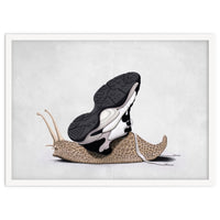 The Sneaker Wordless