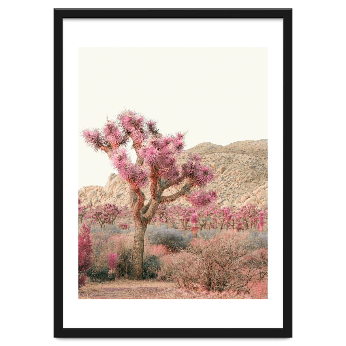 Boho Joshua Tree Cactus
