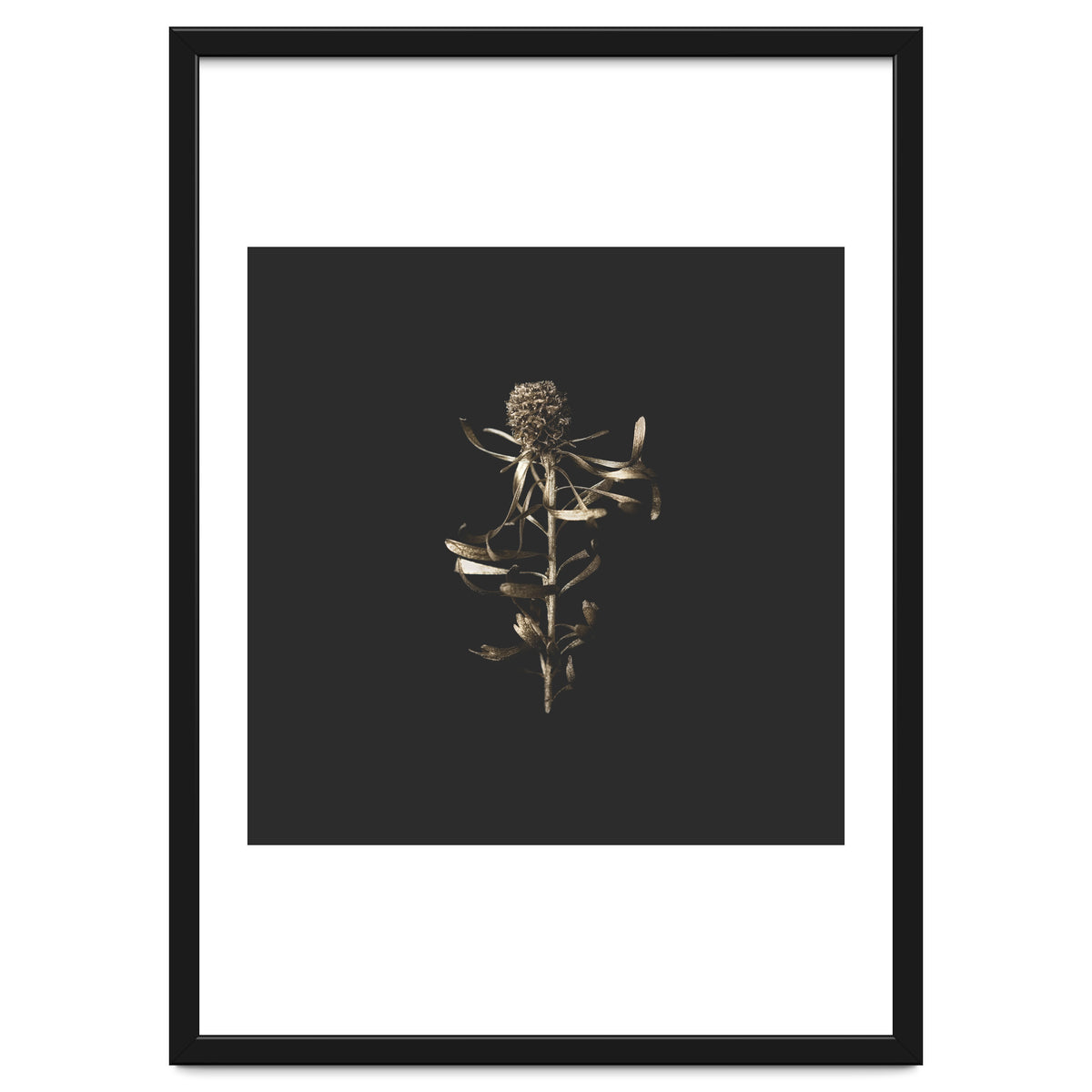 Golden Botanicals -  Square