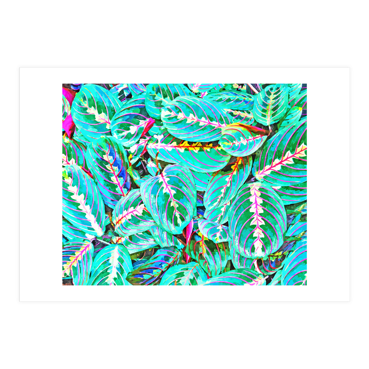 Let's find a beautiful place to get lost (Print Only)