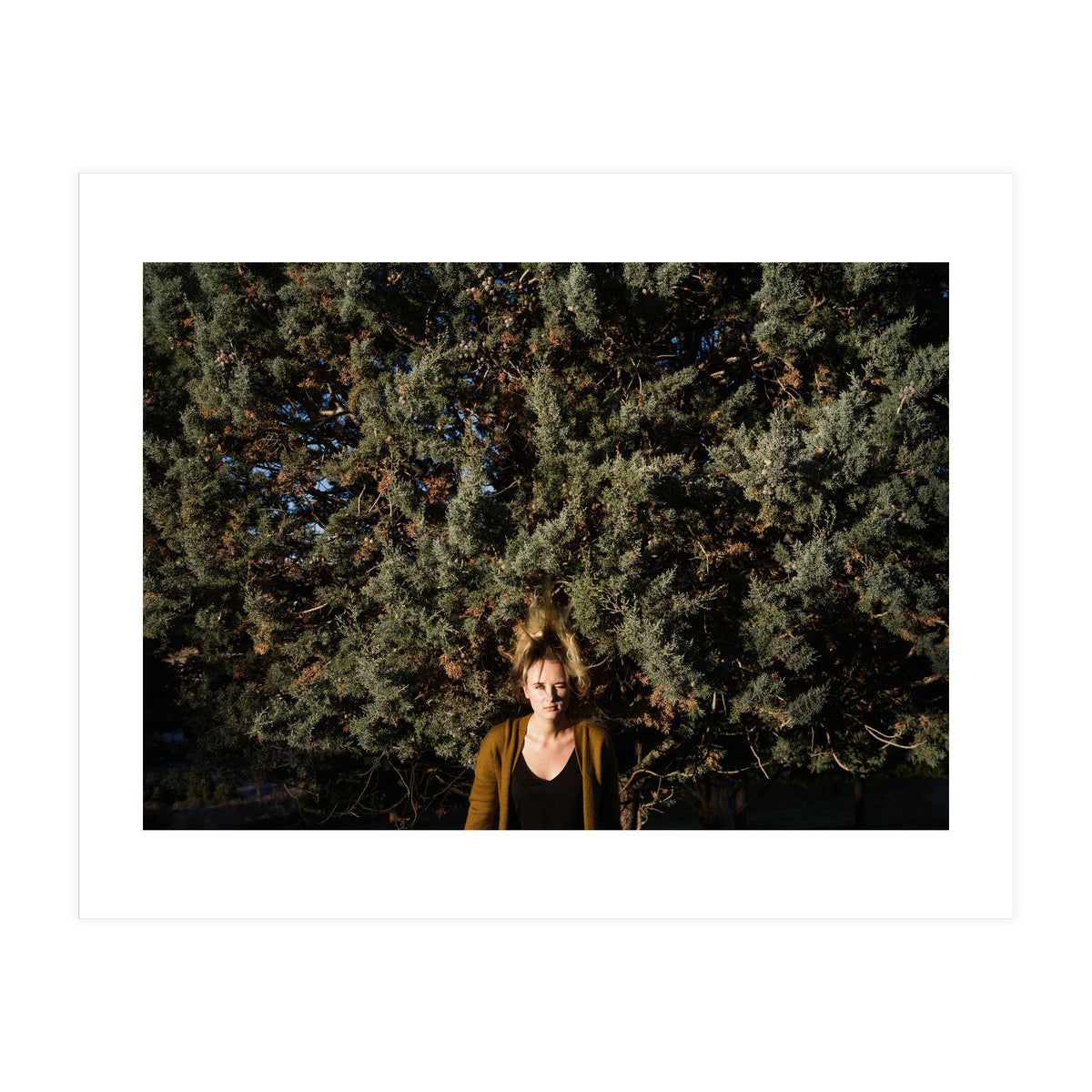 Transition from Summer to Winter (Print Only)