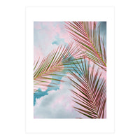 Palms + Sky (Print Only)