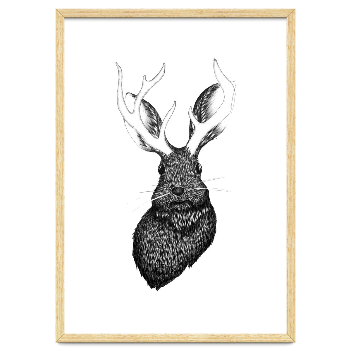 Jackalope