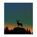 Wild Nature - Dusk (Print Only) thumbnail