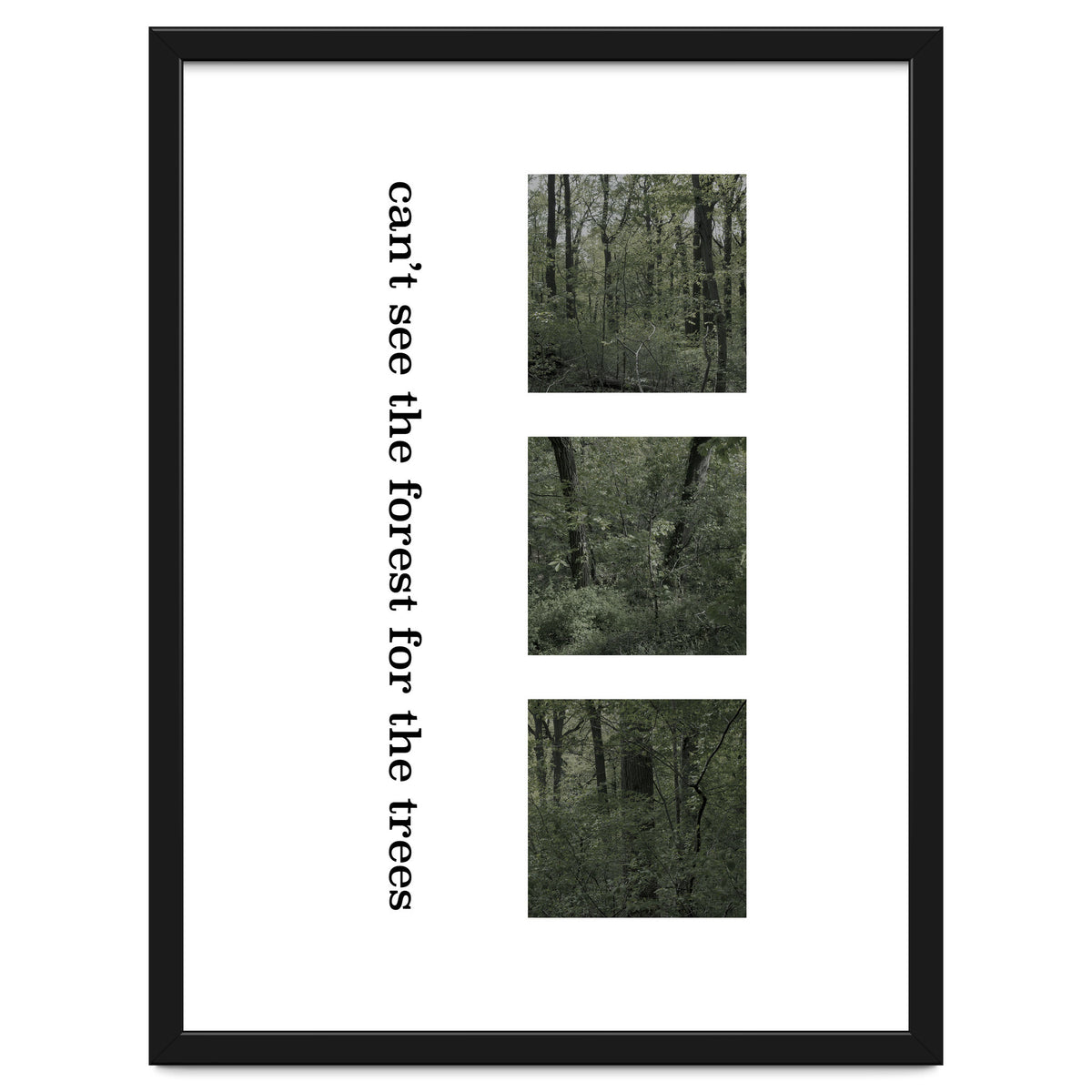 can’t see the forest for the trees