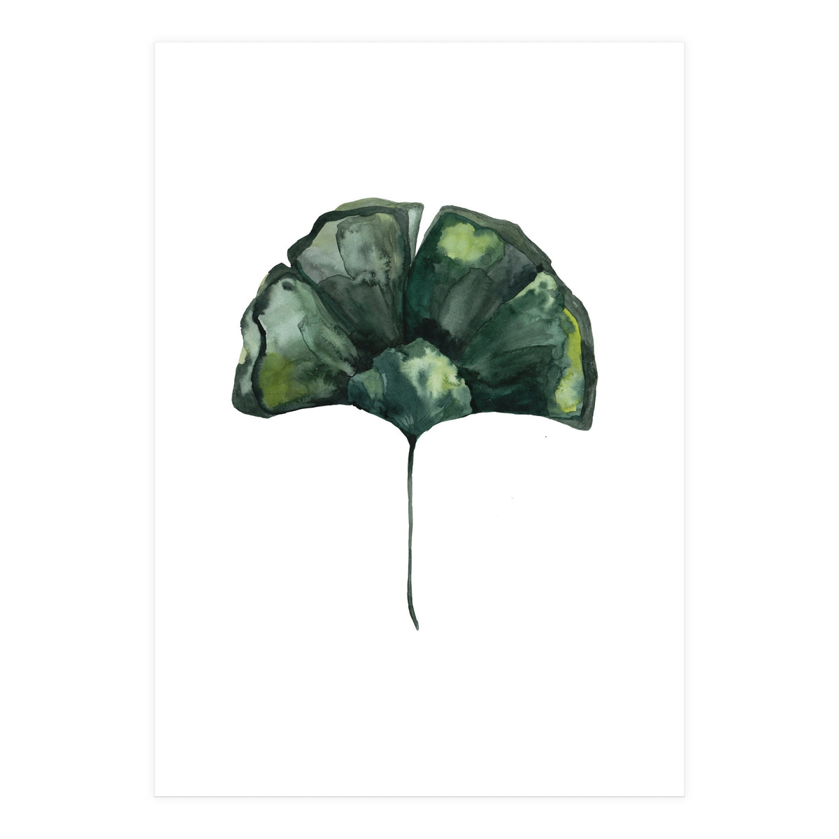 Botanical Illustration Ginko (Print Only)