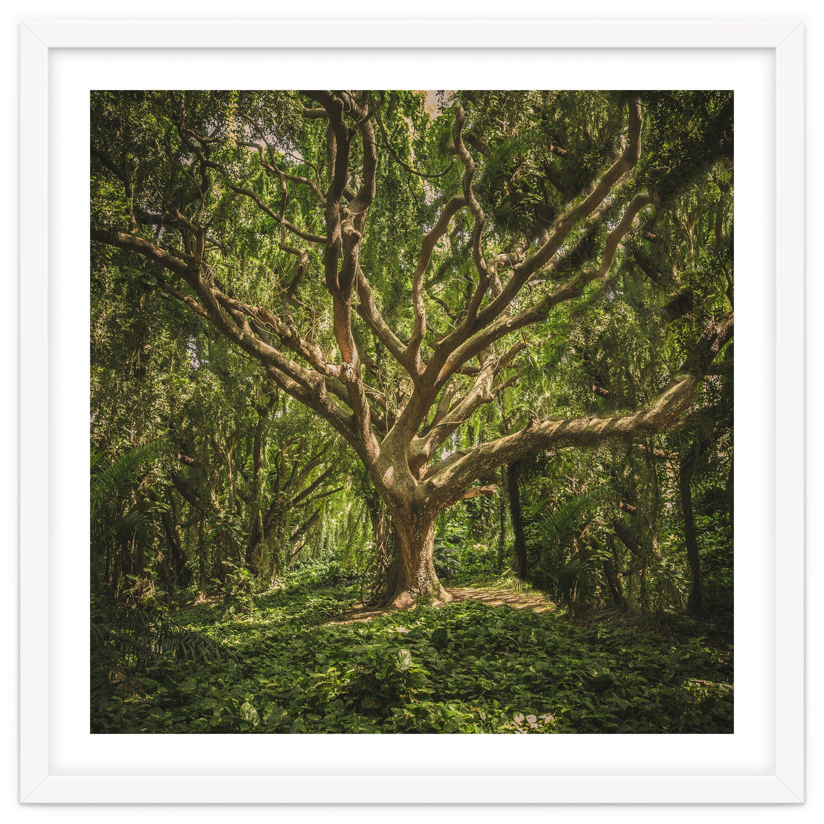 Spirits inside the wood