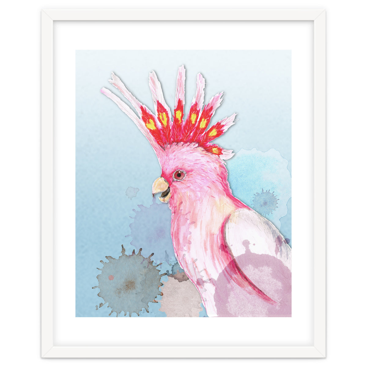 Major Mitchell's cockatoo