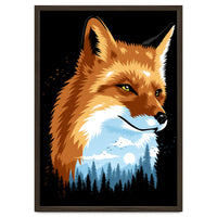 Fox Colors Forest