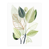 Spring Botanical Collage (Print Only) thumbnail